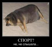 Прикрепленное изображение: 1292320991_1292227227_demotivatory_24.jpg