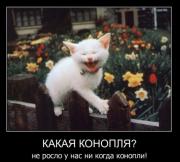 Прикрепленное изображение: 1292321006_1292227243_demotivatory_10.jpg