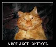 Прикрепленное изображение: 1292321073_1292227250_demotivatory_19.jpg