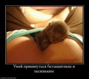 Прикрепленное изображение: 1292060221_demotivators_49.jpg