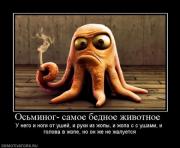 Прикрепленное изображение: 1292060172_demotivators_20.jpg