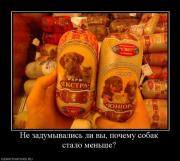 Прикрепленное изображение: 1291233971_semotivators_04.jpg
