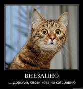 Прикрепленное изображение: 016_3_.jpg