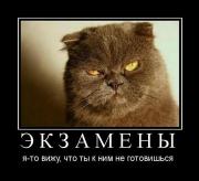 Прикрепленное изображение: x_9a566527.jpg