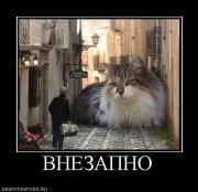 Прикрепленное изображение: x_7f4a989d.jpg