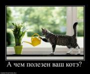 Прикрепленное изображение: x_ee4d2d7e.jpg