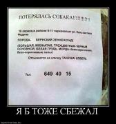 Прикрепленное изображение: 626520_ya_b_tozhe_sbezhal.jpg