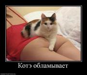 Прикрепленное изображение: 726164_kote_oblamyivaet.jpg