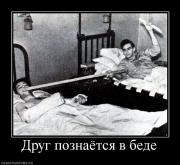 Прикрепленное изображение: 66212_drug_poznayotsya_v_bede.jpg