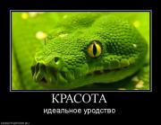 Прикрепленное изображение: 479293_krasota.jpg