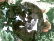 Прикрепленное изображение: 12022008326.jpg