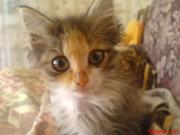 Прикрепленное изображение: DSC02624.JPG