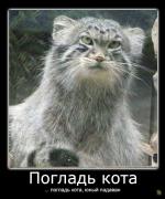 Прикрепленное изображение: 29.jpg