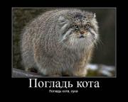 Прикрепленное изображение: 01.jpg