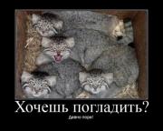 Прикрепленное изображение: 06.jpg