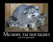 Прикрепленное изображение: 07.jpg
