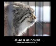 Прикрепленное изображение: 09.jpg