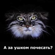 Прикрепленное изображение: 20.jpg