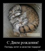 Прикрепленное изображение: q9geyxyp9mf0.jpg