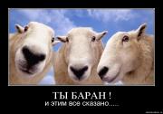 Прикрепленное изображение: gg6jtb0y7fg3.jpg