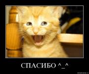Прикрепленное изображение: vxej8vtfvv1m.jpg