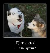 Прикрепленное изображение: tc40guqb8f6y.jpg