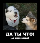 Прикрепленное изображение: 28f863b5ee50.jpg