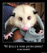 Прикрепленное изображение: e7lzwh550eyj.jpg