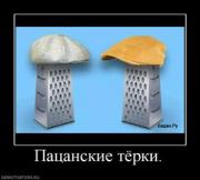 Прикрепленное изображение: 354636_patsanskie_tyorki.thumbnail.jpg