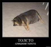 Прикрепленное изображение: OSy3VH6nJK.jpg