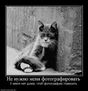 Прикрепленное изображение: 316406_ne_nuzhno_menya_fotografirovat.jpg