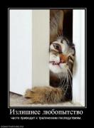 Прикрепленное изображение: 7170_izlishnee_lyubopyitstvo.jpg