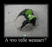 Прикрепленное изображение: 355172_a_chto_tebe_meshaet.jpg