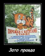 Прикрепленное изображение: __.jpg