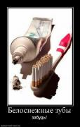 Прикрепленное изображение: 687558_belosnezhnyie_zubyi.jpg
