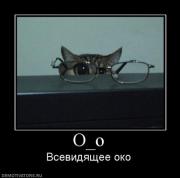 Прикрепленное изображение: 318696_310321.jpg