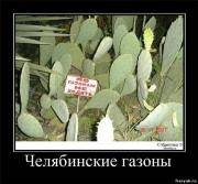 Прикрепленное изображение: 89180706.jpg