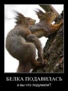 Прикрепленное изображение: 1274628132_21.jpg