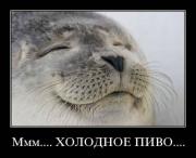 Прикрепленное изображение: 1260453332_7.jpg