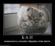 Прикрепленное изображение: 472664_b_a_n.jpg