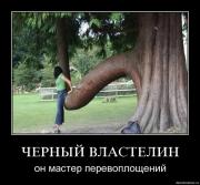 Прикрепленное изображение: 7.jpg