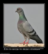 Прикрепленное изображение: 630291_kto_to_kogda_to_videl_ptentsov.jpg