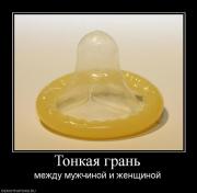 Прикрепленное изображение: 133473_tonkaya_gran.jpg