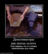 Прикрепленное изображение: 518496_demotivatoryi_kak_myite_zolota.thumbnail.jpg