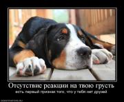 Прикрепленное изображение: 132400_otsutstvie_reaktsii_na_tvoyu_grust.jpg