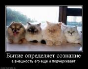 Прикрепленное изображение: 10793_byitie_opredelyaet_soznanie.jpg