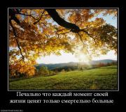 Прикрепленное изображение: 297653_pechalno_chto_kazhdyij_moment_svoej_zhizni_tsenyat_tolko_smertelno_bolnyie_.jpg