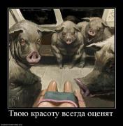 Прикрепленное изображение: 409355_tvoyu_krasotu_vsegda_otsenyat.jpg