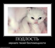 Прикрепленное изображение: 734726_podlost.jpg