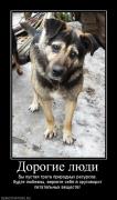 Прикрепленное изображение: 120598_dorogie_lyudi.jpg